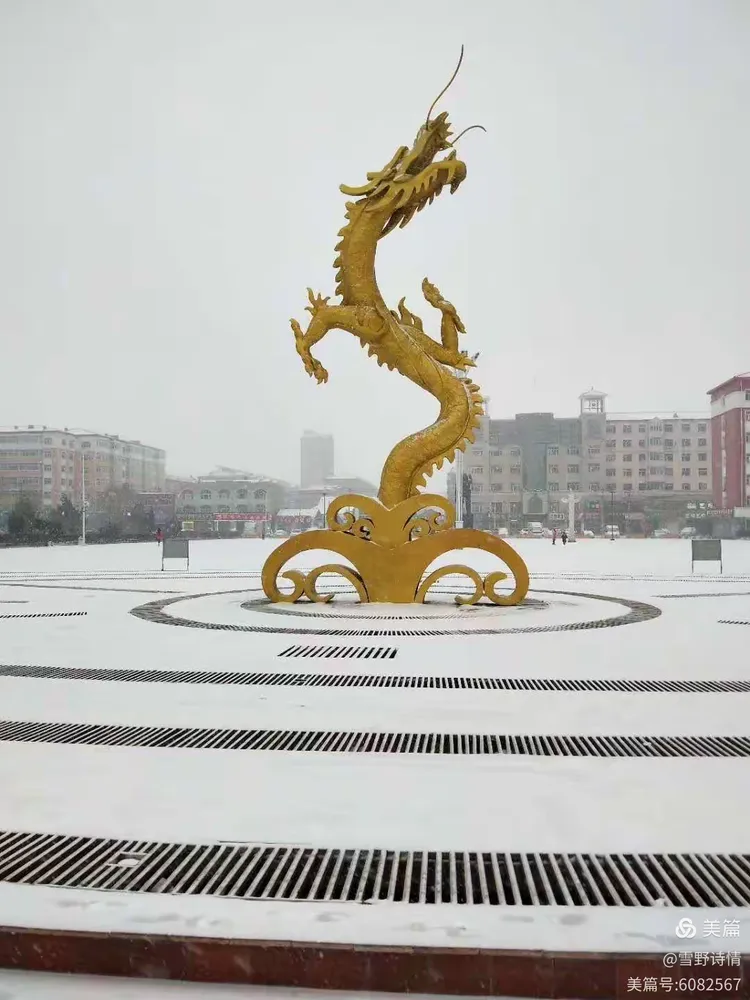 大美龙江县之志刚广场夜景